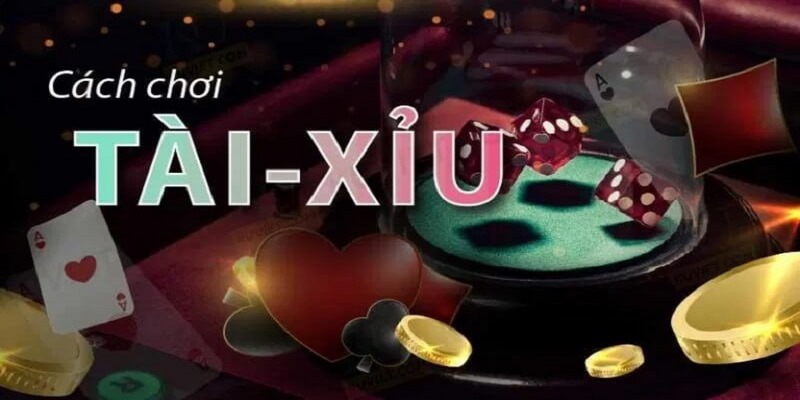 Hướng dẫn chơi tài xỉu Kubet - Luật chơi và các cửa cược